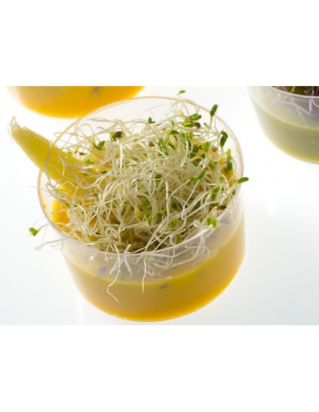 Vaso plástico 6oz 180ml, zumos y refrescos | Effimer